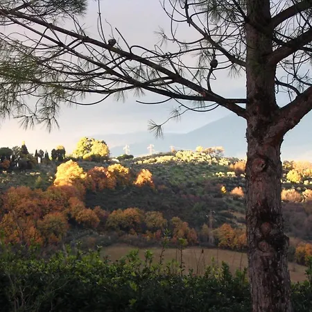 Belvedere Attivoli * Spoleto